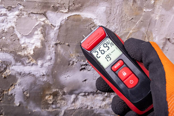Best Best Mold Removal Companies  in Eagle Point, OR