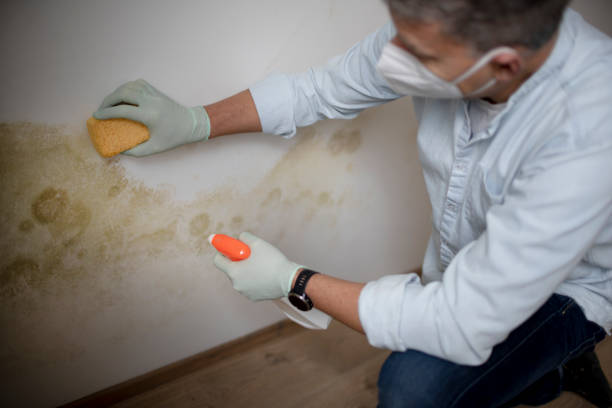 Best Emergency Mold Removal  in Eagle Point, OR