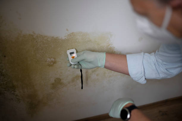 Best Office Mold Removal Services  in Eagle Point, OR